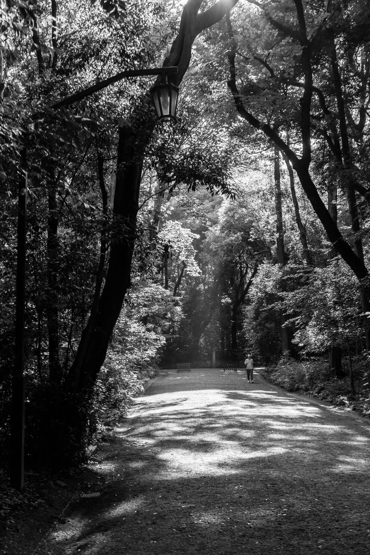 A lone walker on a wooded park path in dappled light.