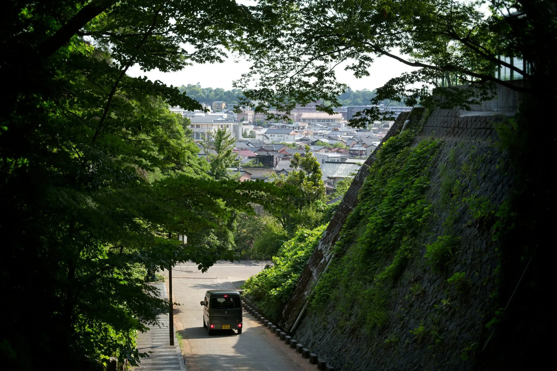 A leafy slope drops to a town, a van on the road, framed by branches.