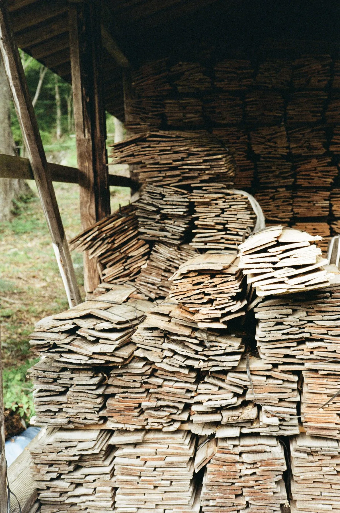 Great stacks of split wood shingles drying under a shelter.